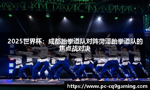 2025世界杯：成都跆拳道队对阵菏泽跆拳道队的焦点战对决