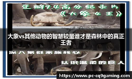 大象vs其他动物的智慧较量谁才是森林中的真正王者